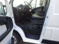 Fiat Ducato 115 Kasten L1H1 TÜV+Service+Reifen+Bremsen NEU Weiß - thumbnail 10