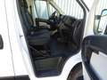 Fiat Ducato 115 Kasten L1H1 TÜV+Service+Reifen+Bremsen NEU Weiß - thumbnail 11