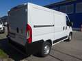 Fiat Ducato 115 Kasten L1H1 TÜV+Service+Reifen+Bremsen NEU Weiß - thumbnail 5