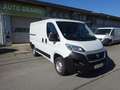 Fiat Ducato 115 Kasten L1H1 TÜV+Service+Reifen+Bremsen NEU Weiß - thumbnail 7