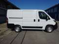 Fiat Ducato 115 Kasten L1H1 TÜV+Service+Reifen+Bremsen NEU Weiß - thumbnail 6