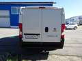 Fiat Ducato 115 Kasten L1H1 TÜV+Service+Reifen+Bremsen NEU Weiß - thumbnail 4