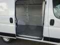 Fiat Ducato 115 Kasten L1H1 TÜV+Service+Reifen+Bremsen NEU Weiß - thumbnail 13