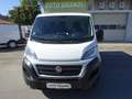 Fiat Ducato 115 Kasten L1H1 TÜV+Service+Reifen+Bremsen NEU Weiß - thumbnail 8