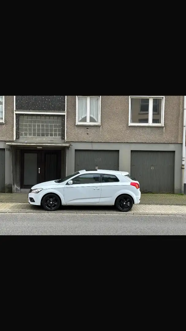 Kia Ceed / cee'd Blanco - 1