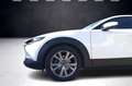 Mazda CX-30 2.0L Skyactiv-G M-Hybr. 150CV AWD Exceed Bianco - thumbnail 10