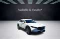 Mazda CX-30 2.0L Skyactiv-G M-Hybr. 150CV AWD Exceed Bianco - thumbnail 3