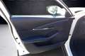 Mazda CX-30 2.0L Skyactiv-G M-Hybr. 150CV AWD Exceed Bianco - thumbnail 11
