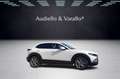 Mazda CX-30 2.0L Skyactiv-G M-Hybr. 150CV AWD Exceed Bianco - thumbnail 5