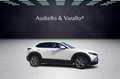 Mazda CX-30 2.0L Skyactiv-G M-Hybr. 150CV AWD Exceed Bianco - thumbnail 7