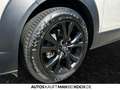 Mazda CX-30 e-SKY-G 2.0 AT HOMURA LED NAV BOSE 360view Silber - thumbnail 16