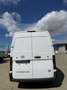 Nissan Interstar INTERSTAR VAN Blanc - thumbnail 7