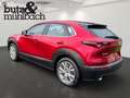 Mazda CX-30 e-SKYACTIVE X 186 Aut. CENTRE-LINE Navi LED Apple Rot - thumbnail 4