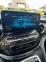 Mercedes-Benz EQV 300 EQV 300 lang Avantgarde Line Grau - thumbnail 25
