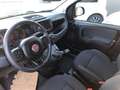 Fiat Panda 1.0 hybrid Cross 70 CV PREZZO REALE Rouge - thumbnail 9