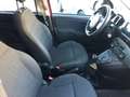 Fiat Panda 1.0 hybrid Cross 70 CV PREZZO REALE Rouge - thumbnail 8