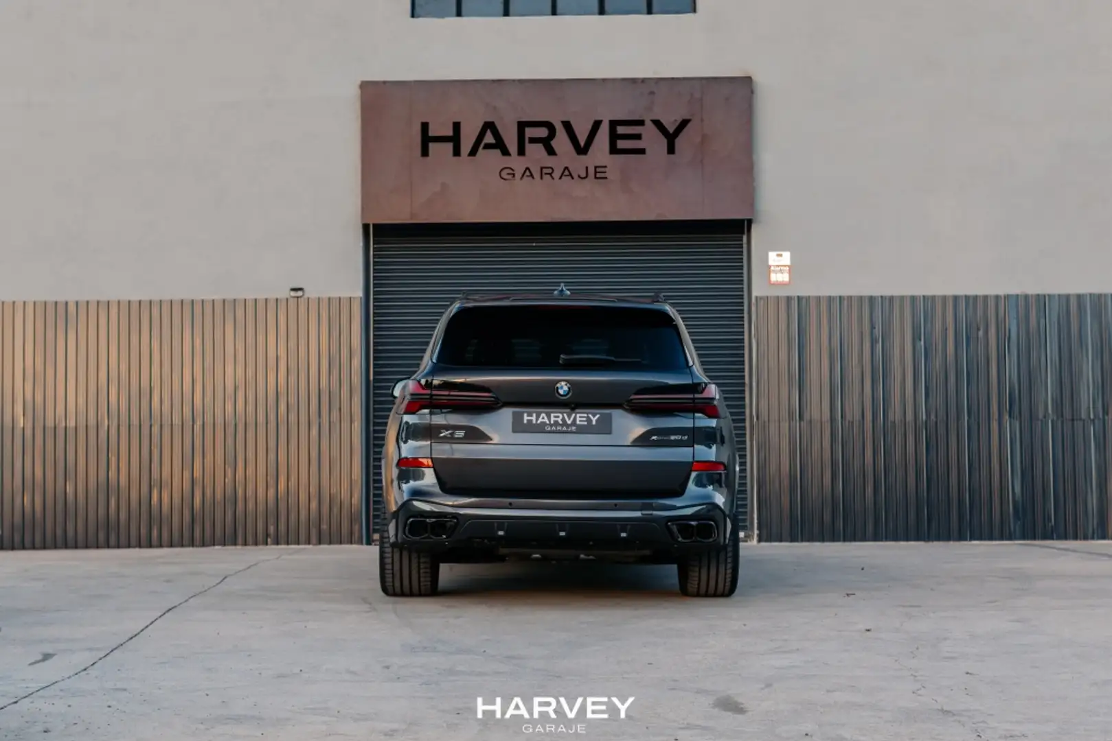 BMW X5 xDrive 30dA xLine M Sport Pro Gris - 2