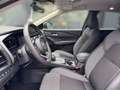 Nissan Qashqai QASHQAI MY24 1.3 DIG-T MHEV 158 PS Xtronic 4x2 N Schwarz - thumbnail 7