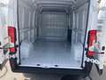 Peugeot Boxer L3H2 35, Klima, Tempomat, verst. Federn Blanc - thumbnail 15