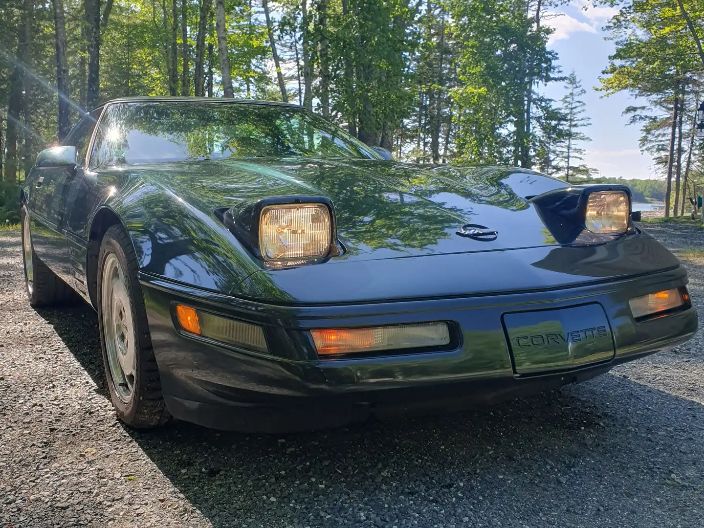 Chevrolet Corvette C4 lt1 Verde - 1