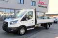 Ford Transit Pritsche 2,0 EcoBlue MHEV L3H1 350 Trend Weiß - thumbnail 1
