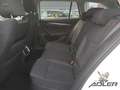 Skoda Octavia Combi 2,0 TDI DSG Style Headup Navi el Heckklappe Wit - thumbnail 12