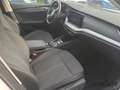 Skoda Octavia Combi 2,0 TDI DSG Style Headup Navi el Heckklappe Blanc - thumbnail 10