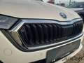 Skoda Octavia Combi 2,0 TDI DSG Style Headup Navi el Heckklappe Blanc - thumbnail 25