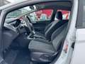Ford Fiesta 1.5 TDCi Ambiente GARANTIE EURO5b Wit - thumbnail 11