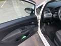Fiat Grande Punto Grande Punto 1,2 Active Active Weiß - thumbnail 12