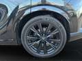 Lexus RX 500h h F Sport*PANORAMADACH*INT.PAKET Schwarz - thumbnail 20