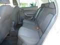 SEAT Ibiza IBIZA ROAD EDITION 1.0 TSI NAVI AHZV-VORBER. SHZ Blanc - thumbnail 13