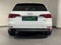 Audi A4 Quattro Sport**Sline**Matrix LED**Erstbesitz** Blanco - thumbnail 14