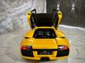 Lamborghini Murciélago LP580 V12 6,2 580PS * 1.BESITZ * IKONE * Gelb - thumbnail 21