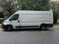 Fiat Ducato Maxi L4 Blanc - thumbnail 5
