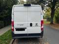 Fiat Ducato Maxi L4 Blanc - thumbnail 2