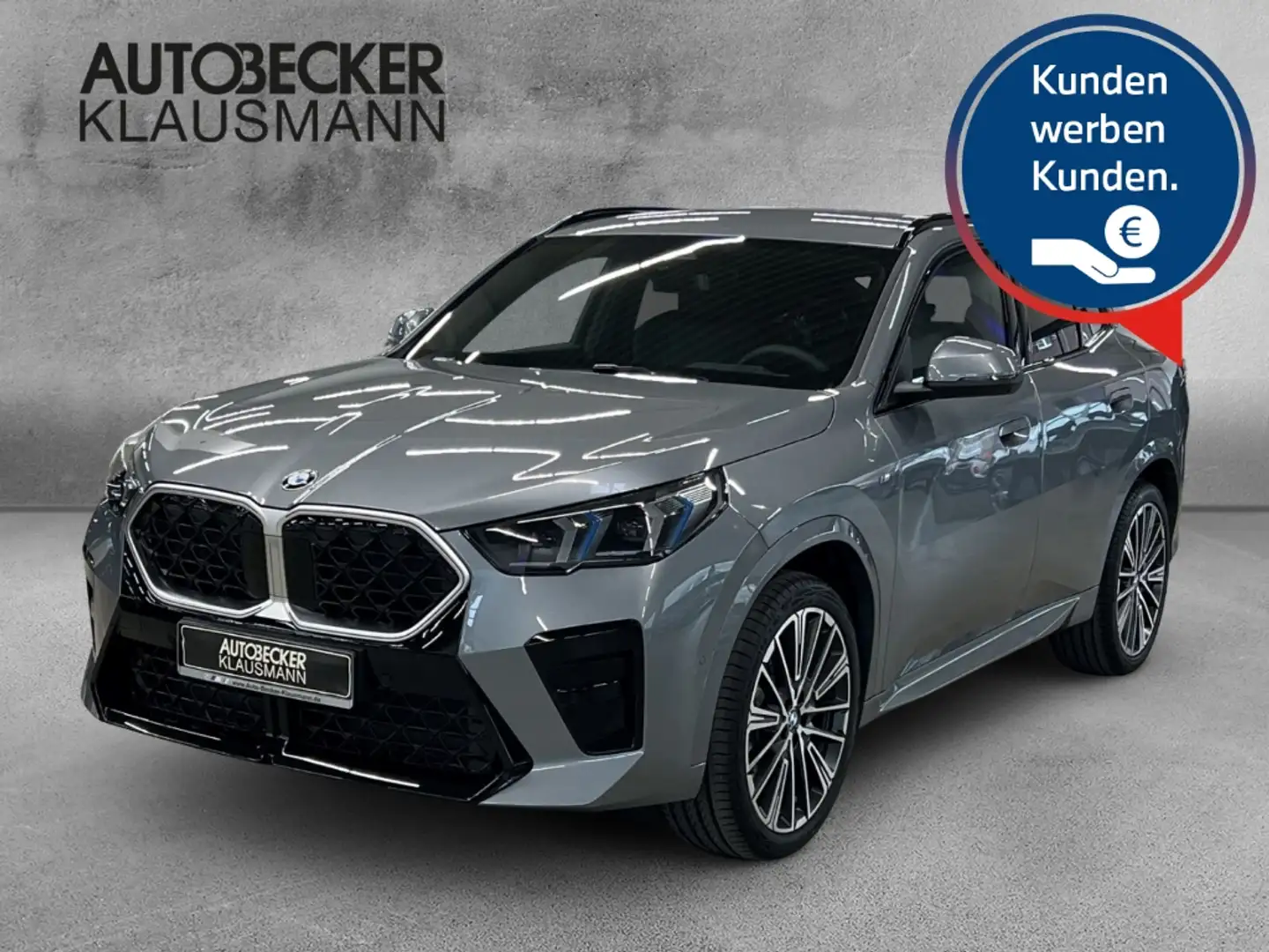 BMW X2 sDrive20i M Sport LMR 20'' Park-Assistent HUD AD N Grey - 1