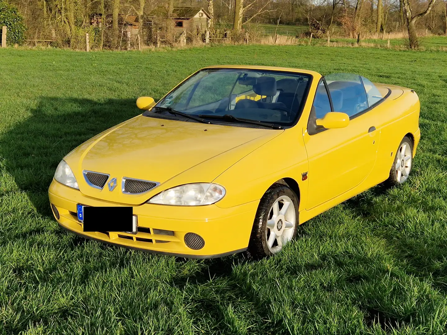 Renault Megane Cabriolet 1.4 Żółty - 2