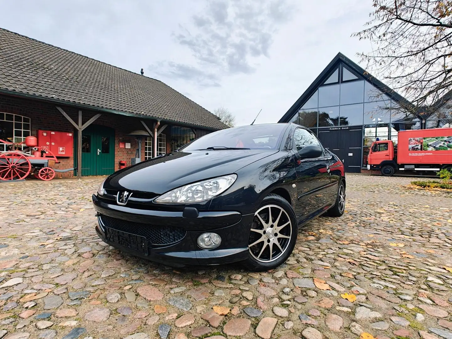 Peugeot 206 Cabriolet CC Platinum Edition / Sport Noir - 1