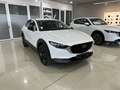 Mazda CX-30 2.0 e-Skyactiv-G Homura FWD Aut. 110kW Weiß - thumbnail 4
