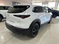 Mazda CX-30 2.0 e-Skyactiv-G Homura FWD Aut. 110kW Weiß - thumbnail 10