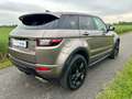 Land Rover Range Rover Evoque 5p 2.0 td4 HSE Dynamic 150cv Bronzo - thumbnail 4