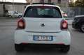 smart forFour 1.0 Prime 71CV twinamic Cabrio Uff Italy Lega Navi Beyaz - thumbnail 5