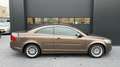 Volvo C70 Convertible 2.0 D3 Kinetic Kahverengi - thumbnail 15