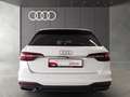Audi A4 30 TDI S tronic MatrixLED AHK Massage A Weiß - thumbnail 7