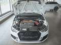Audi RS3 2.5 TFSI QUATTRO Ohne OPF / Senza OPF Bianco - thumbnail 7