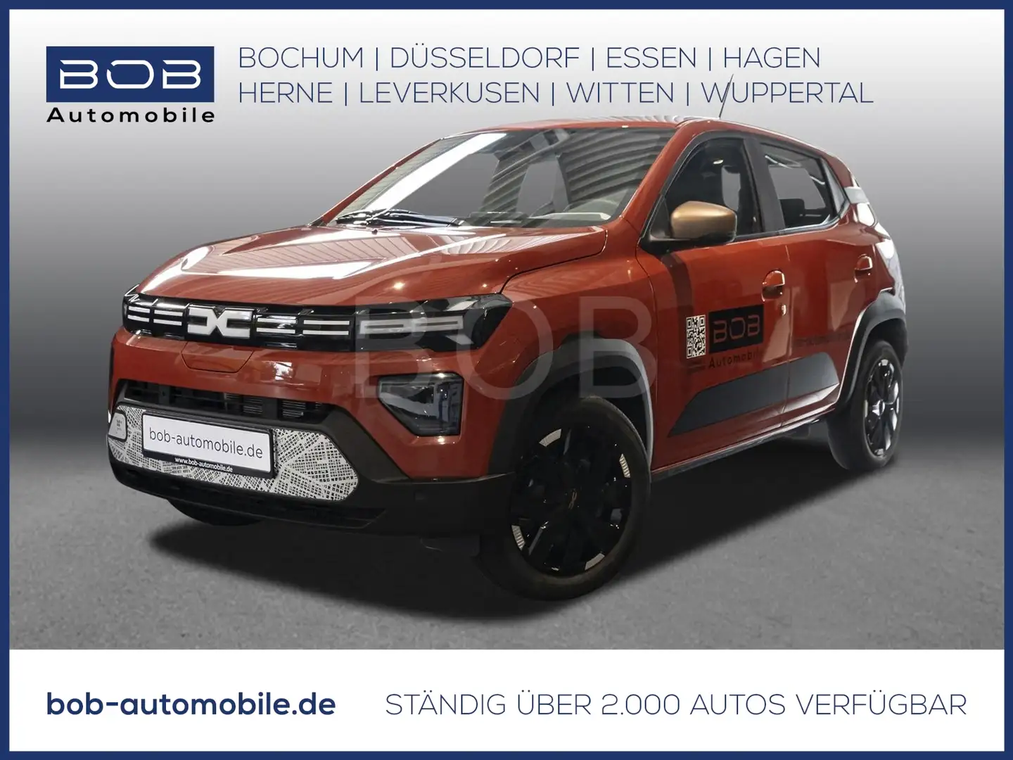 Dacia Spring Extreme 65 CCS Schuko 8-fach bereift Aufbewahrungsbox Rouge - 1