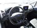 Ford EcoSport 1.0 EcoBoost TITANIUM, Winterpaket u.v.m Weiß - thumbnail 6