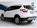 Ford Kuga 1.5 EcoBoost 88kW 4x2 Trend+ Bianco - thumbnail 5
