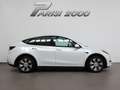 Tesla Model Y Single Motor RWD *PROMO PARISI GROUP* Weiß - thumbnail 6